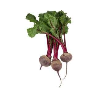 Beetroot