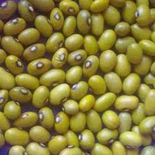 Amana Yellow Beans 1kg