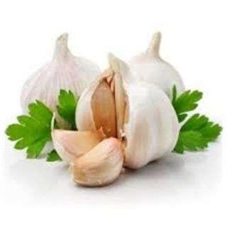 Fresh Garlic Local Per Kg
