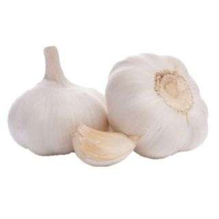 Fresh Garlic Imported Per Kg
