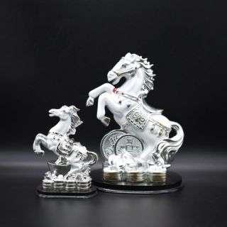 Big White Horse With Money On Legs