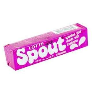 Lotte Spout Gum Cinammon 24 g 7 Pieces 