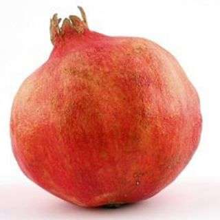 Pomegranate - Imported 